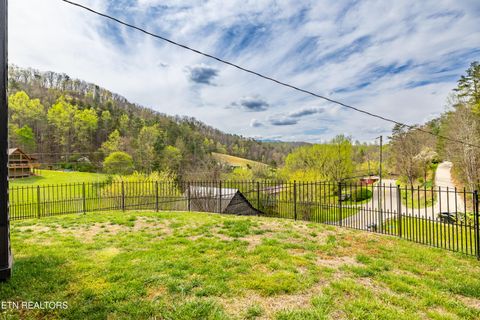 Tiny photo for 3881 Richardson Cove Rd, Sevierville, TN 37876 (MLS # 1335658)