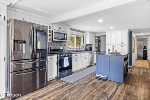 Tiny photo for 3881 Richardson Cove Rd, Sevierville, TN 37876 (MLS # 1335658)