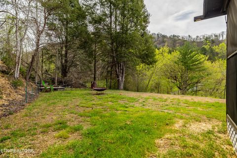 Tiny photo for 3881 Richardson Cove Rd, Sevierville, TN 37876 (MLS # 1335658)