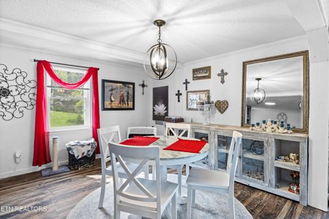 Tiny photo for 3881 Richardson Cove Rd, Sevierville, TN 37876 (MLS # 1335658)