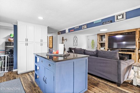 Tiny photo for 3881 Richardson Cove Rd, Sevierville, TN 37876 (MLS # 1335658)