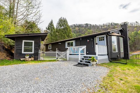 Tiny photo for 3881 Richardson Cove Rd, Sevierville, TN 37876 (MLS # 1335658)