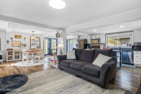 Tiny photo for 3881 Richardson Cove Rd, Sevierville, TN 37876 (MLS # 1335658)