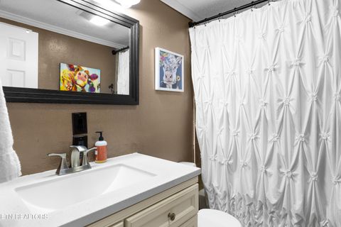 Tiny photo for 3881 Richardson Cove Rd, Sevierville, TN 37876 (MLS # 1335658)