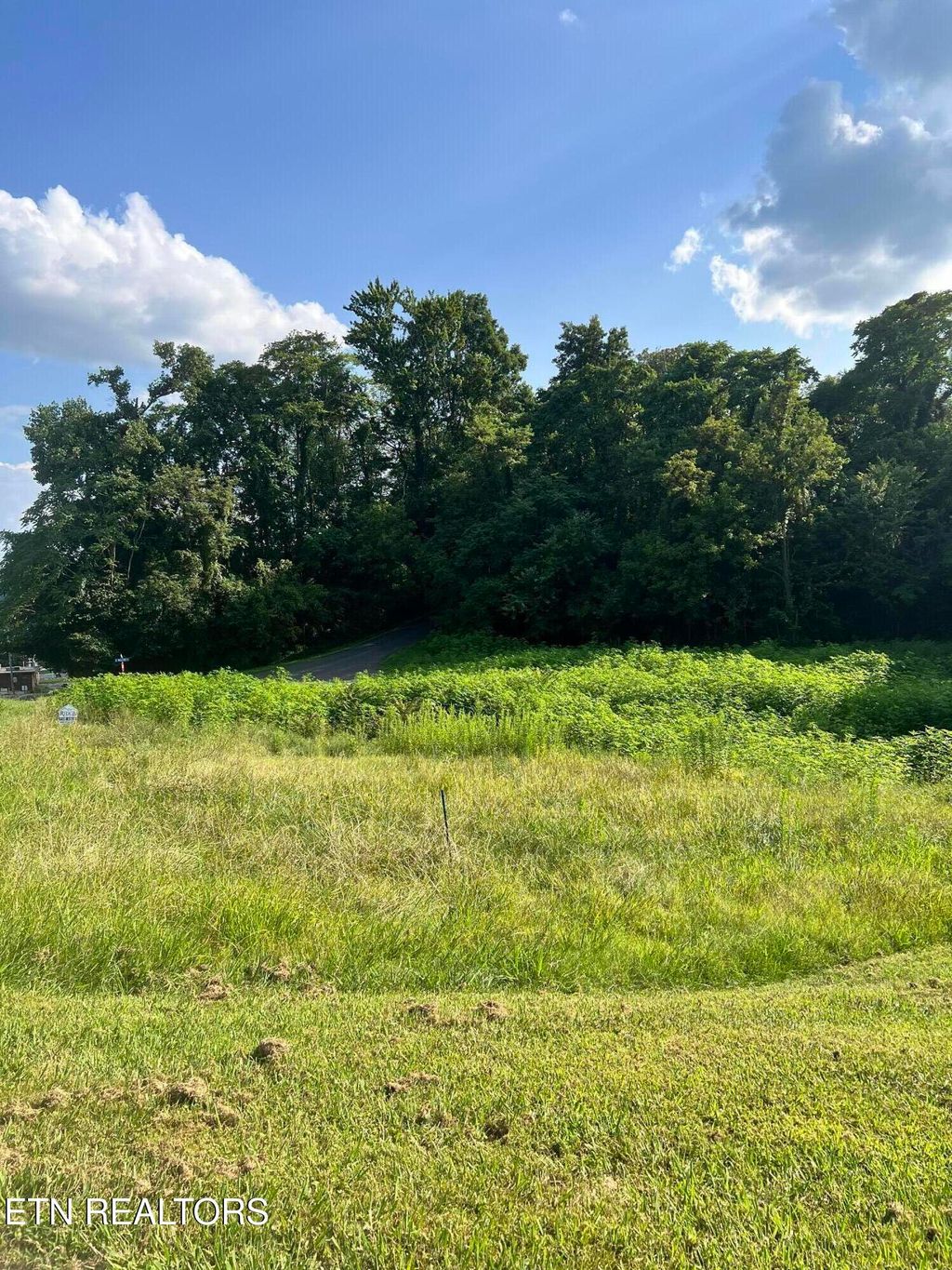 Photo of 909 E Walden St, LaFollette, TN 37766 (MLS # 1306582)