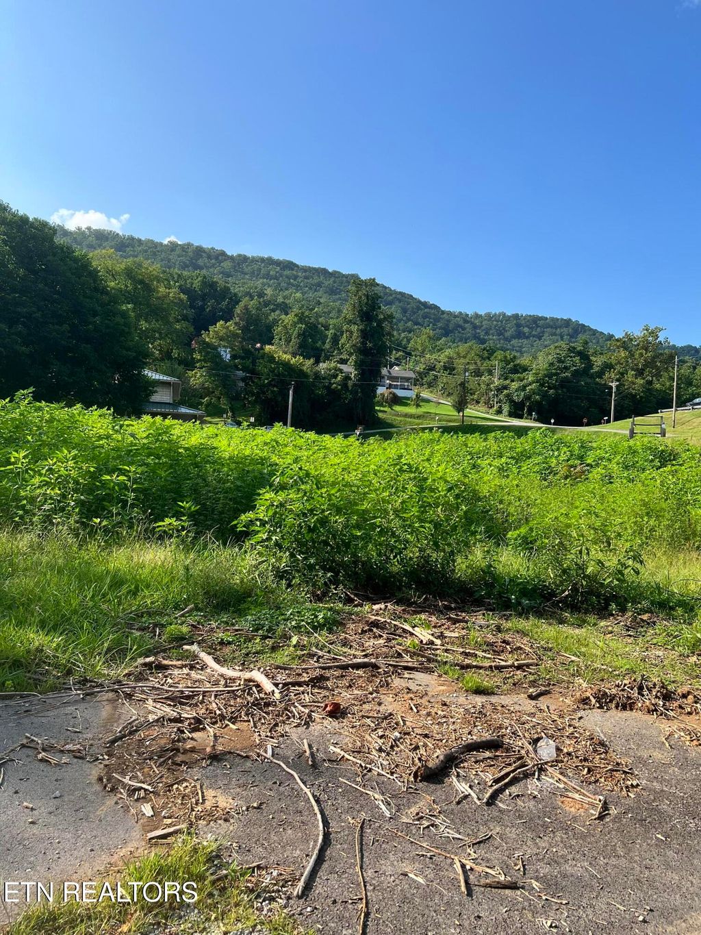 Photo of 909 E Walden St, LaFollette, TN 37766 (MLS # 1306582)