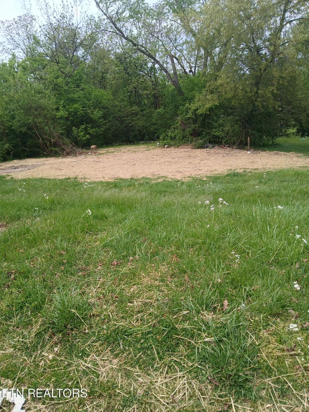 Photo of 2919 Edgewood Ave, Knoxville, TN 37917 (MLS # 1336895)