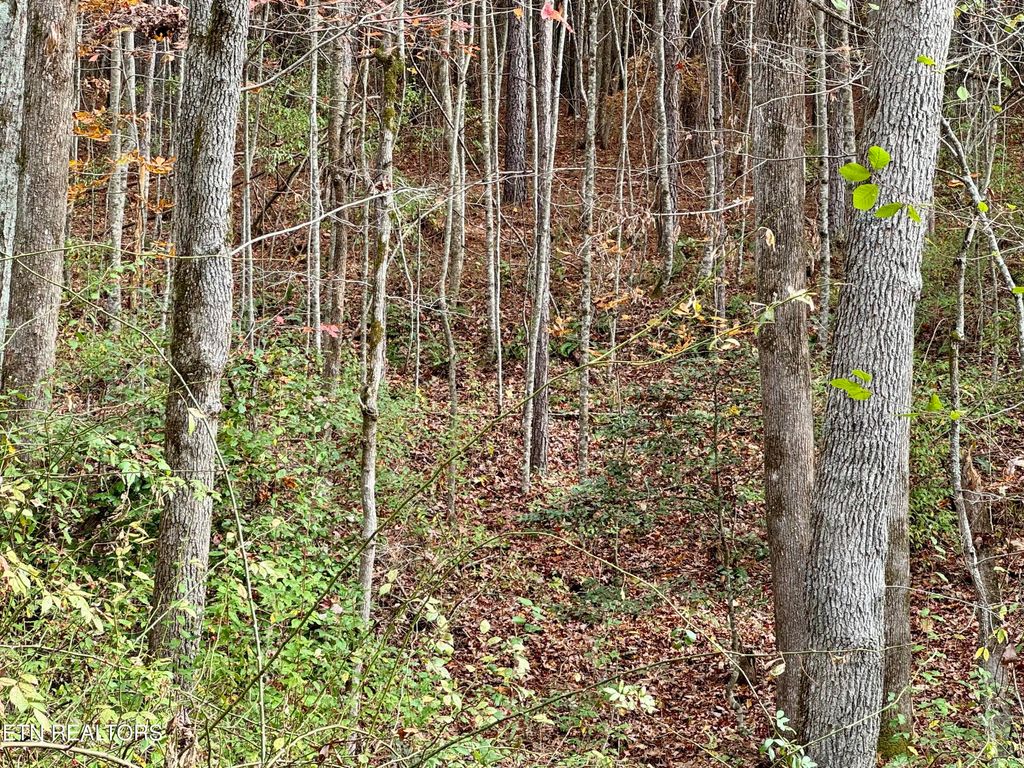 Photo of Lower Rockwood Rd Lot 21, Rockwood, TN 37854 (MLS # 1281357)