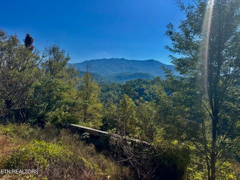 Photo of 908 E End Court, Gatlinburg, TN 37738 (MLS # 1359707)