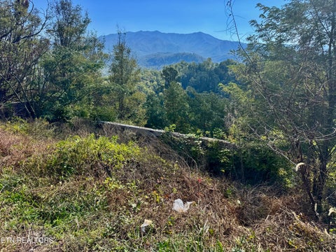 Tiny photo for 908 E End Court, Gatlinburg, TN 37738 (MLS # 1359707)
