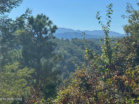 Tiny photo for 908 E End Court, Gatlinburg, TN 37738 (MLS # 1359707)