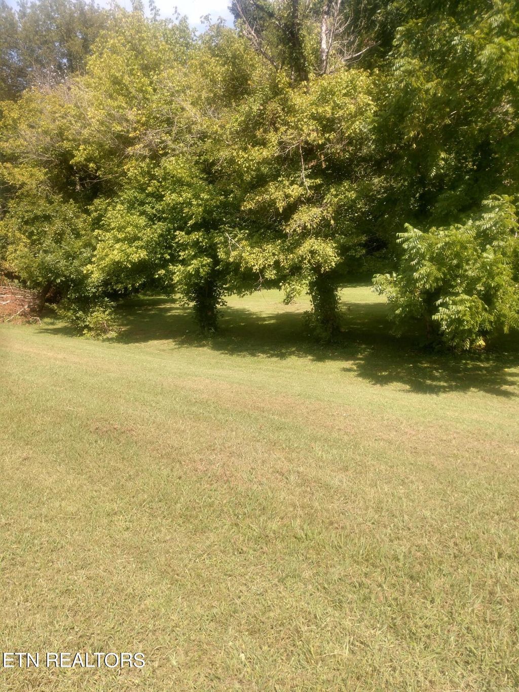 Photo of 0 Rutledge Pike, Corryton, TN 37721 (MLS # 1272907)