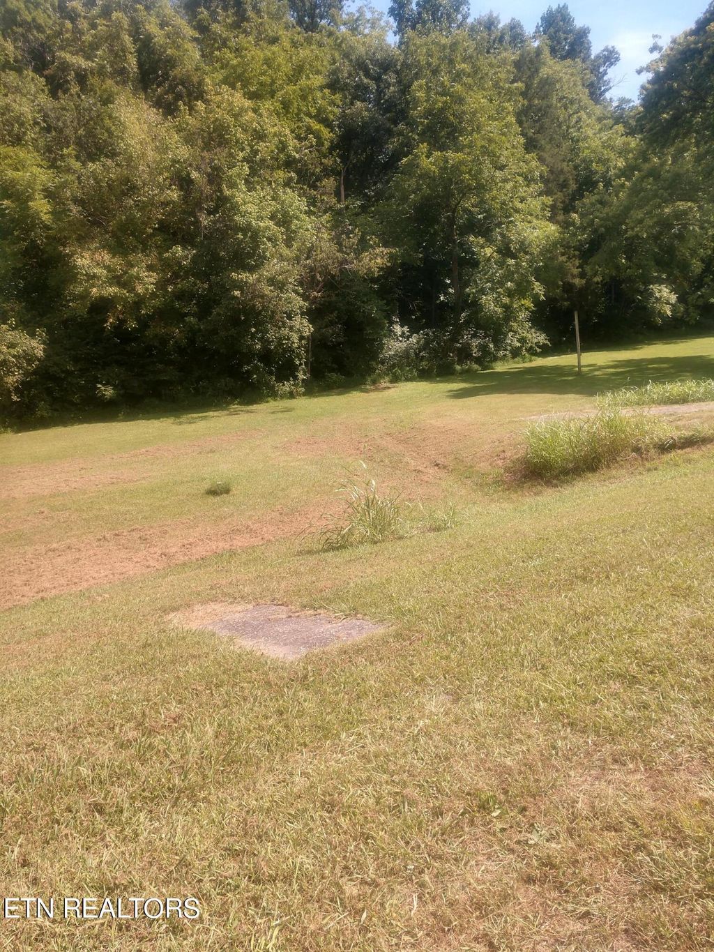 Photo of 0 Rutledge Pike, Corryton, TN 37721 (MLS # 1272907)