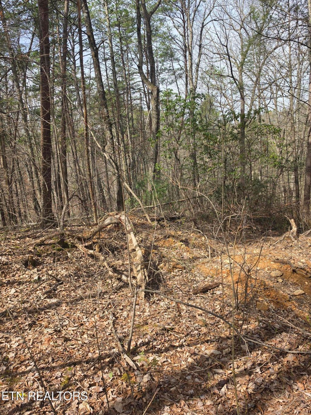 Photo of Ridgefield Drive, Sevierville, TN 37876 (MLS # 1332966)