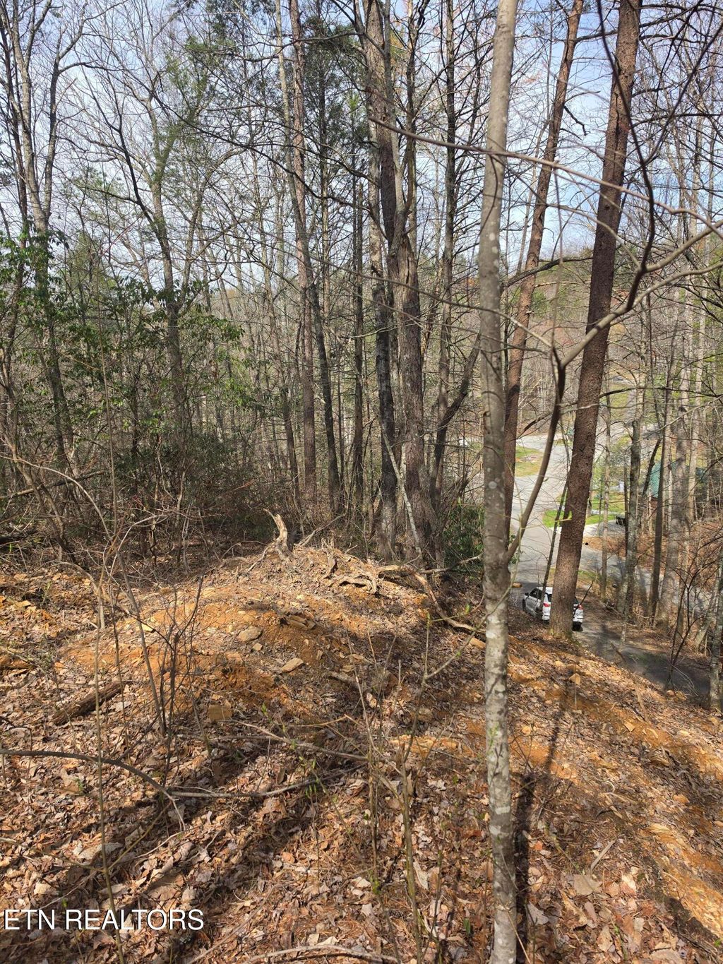 Photo of Ridgefield Drive, Sevierville, TN 37876 (MLS # 1332966)