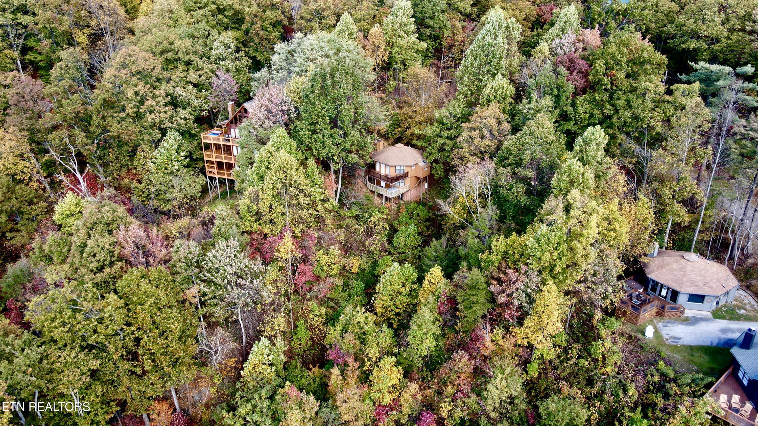 1036 E Foothills Drive