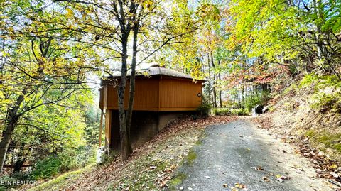 1036 E Foothills Drive Gatlinburg TN 37738