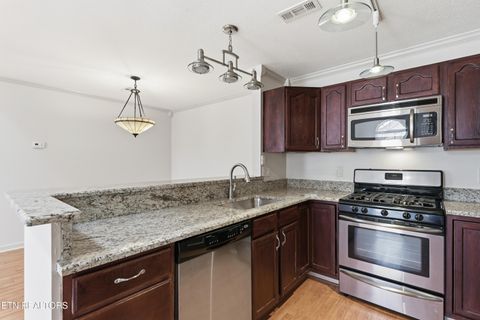Tiny photo for 8624 Constance Way, Knoxville, TN 37923 (MLS # 1341708)