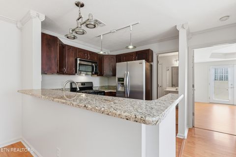 Tiny photo for 8624 Constance Way, Knoxville, TN 37923 (MLS # 1341708)