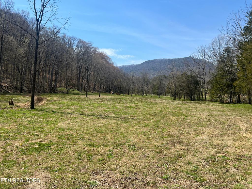 Photo of 5336 Idumea Rd, Corryton, TN 37721 (MLS # 1295297)