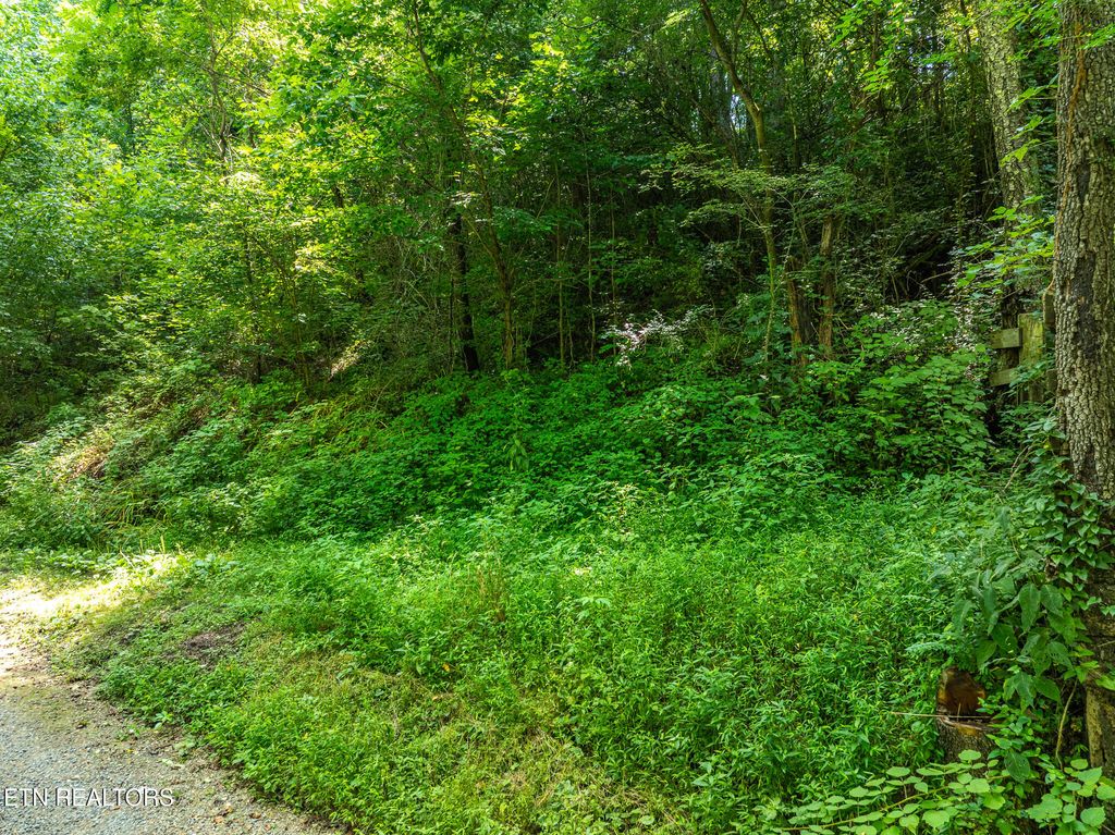 Photo of 174 Old Ivey Hollow Rd, LaFollette, TN 37766 (MLS # 1309203)