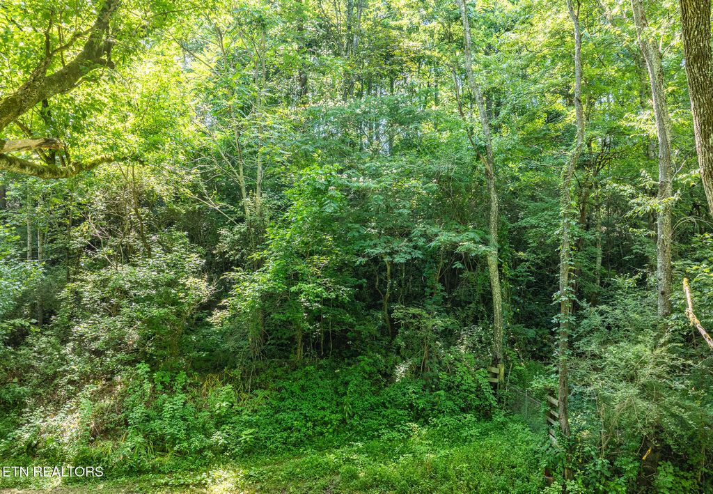 Photo of 174 Old Ivey Hollow Rd, LaFollette, TN 37766 (MLS # 1309203)