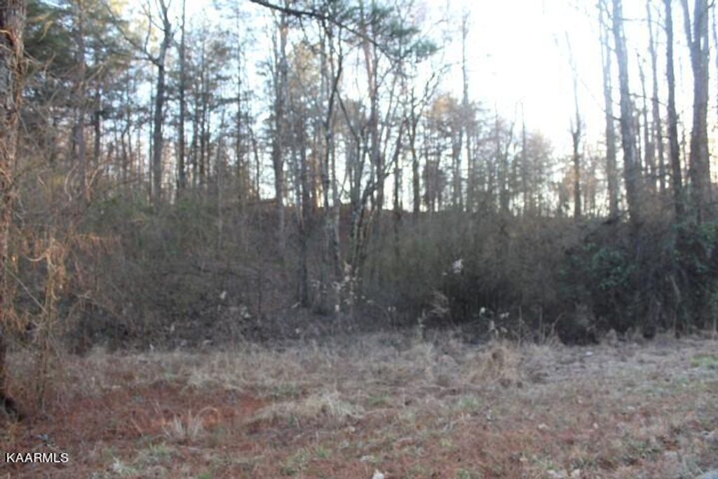 Photo of COUNTY ROAD 786 Lot 2, Etowah, TN 37331 (MLS # 1221409)