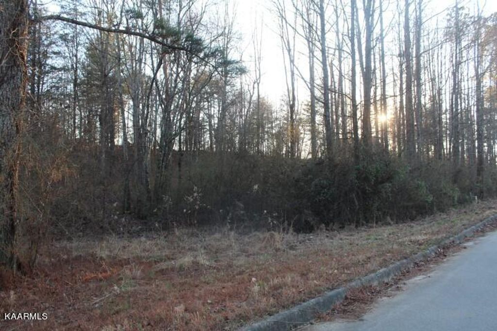 Photo of COUNTY ROAD 786 Lot 2, Etowah, TN 37331 (MLS # 1221409)