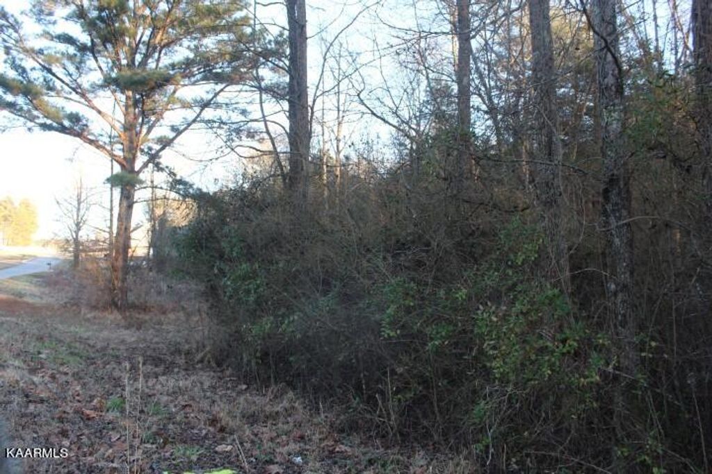Photo of COUNTY ROAD 786 Lot 2, Etowah, TN 37331 (MLS # 1221409)