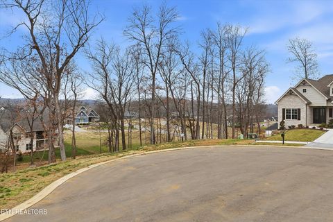 Tiny photo for 185 Keho Court, Loudon, TN 37774 (MLS # 1326323)