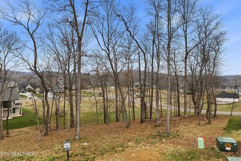Tiny photo for 185 Keho Court, Loudon, TN 37774 (MLS # 1326323)