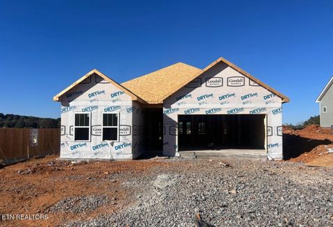 Photo of 197 Sugar Maple Trail (Lot 107), Lenoir City, TN 37771 (MLS # 1320697)