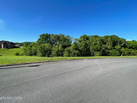 Tiny photo for Alum Cave Cove, Sevierville, TN 37862 (MLS # 1357428)