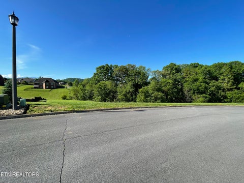 Tiny photo for Alum Cave Cove, Sevierville, TN 37862 (MLS # 1357428)