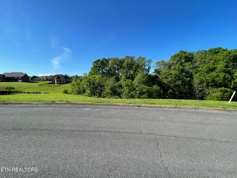 Tiny photo for Alum Cave Cove, Sevierville, TN 37862 (MLS # 1357428)