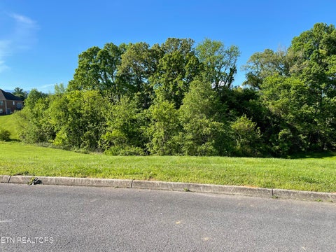 Tiny photo for Alum Cave Cove, Sevierville, TN 37862 (MLS # 1357428)