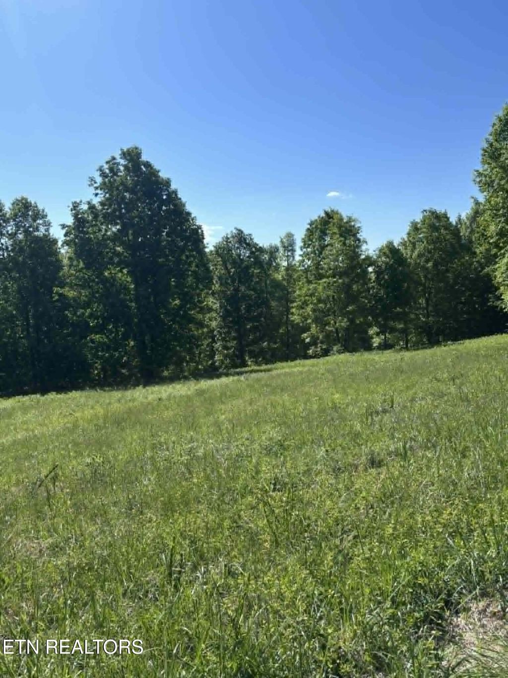 Photo of 407 Earl Maples Lane, Tazewell, TN 37879 (MLS # 1339332)