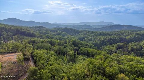 Tiny photo for 109 Laurel Way, Gatlinburg, TN 37738 (MLS # 1334112)