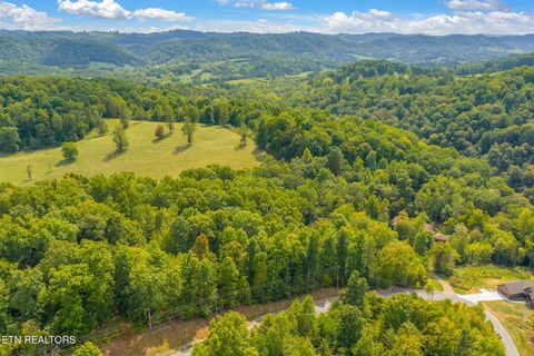 Tiny photo for 148 Hickory Pointe Lane, Maynardville, TN 37807 (MLS # 1332626)