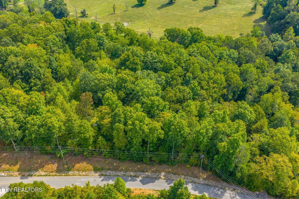 Photo of 148 Hickory Pointe Lane, Maynardville, TN 37807 (MLS # 1332626)