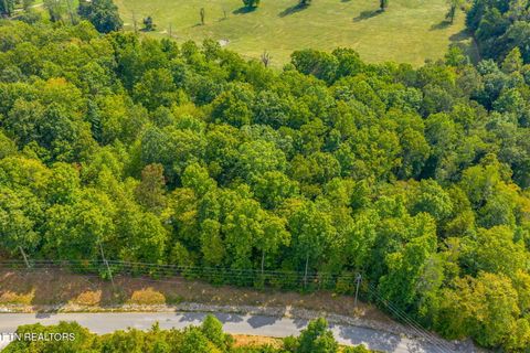 Photo of 148 Hickory Pointe Lane, Maynardville, TN 37807 (MLS # 1332626)
