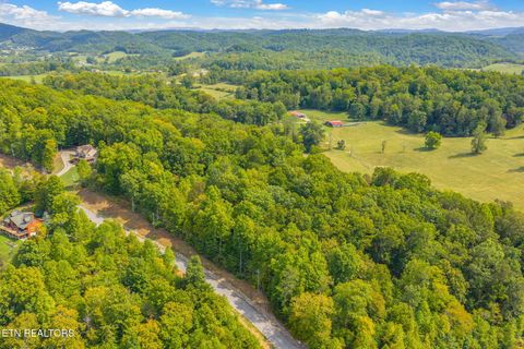 Tiny photo for 148 Hickory Pointe Lane, Maynardville, TN 37807 (MLS # 1332626)