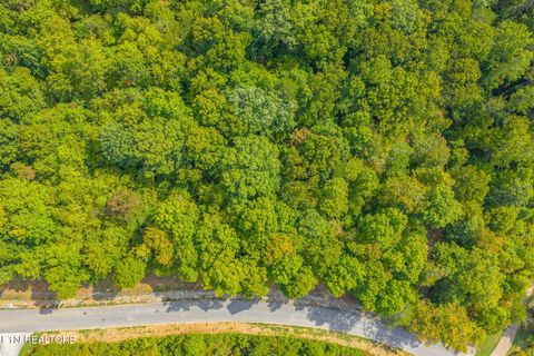 Tiny photo for 148 Hickory Pointe Lane, Maynardville, TN 37807 (MLS # 1332626)