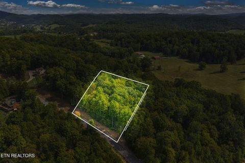 Tiny photo for 148 Hickory Pointe Lane, Maynardville, TN 37807 (MLS # 1332626)