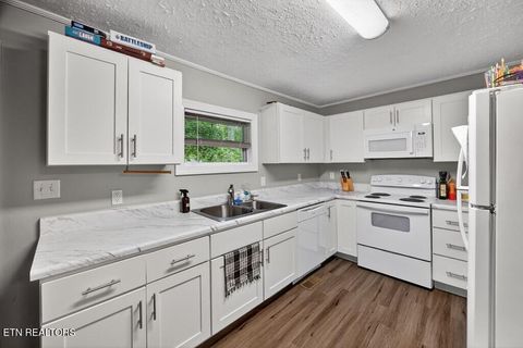 Tiny photo for 12111221 Camp Belle Air Rd, Sparta, TN 38583 (MLS # 1342517)
