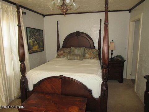 Tiny photo for 139 Buffalo Springs Rd, Rutledge, TN 37861 (MLS # 1325706)