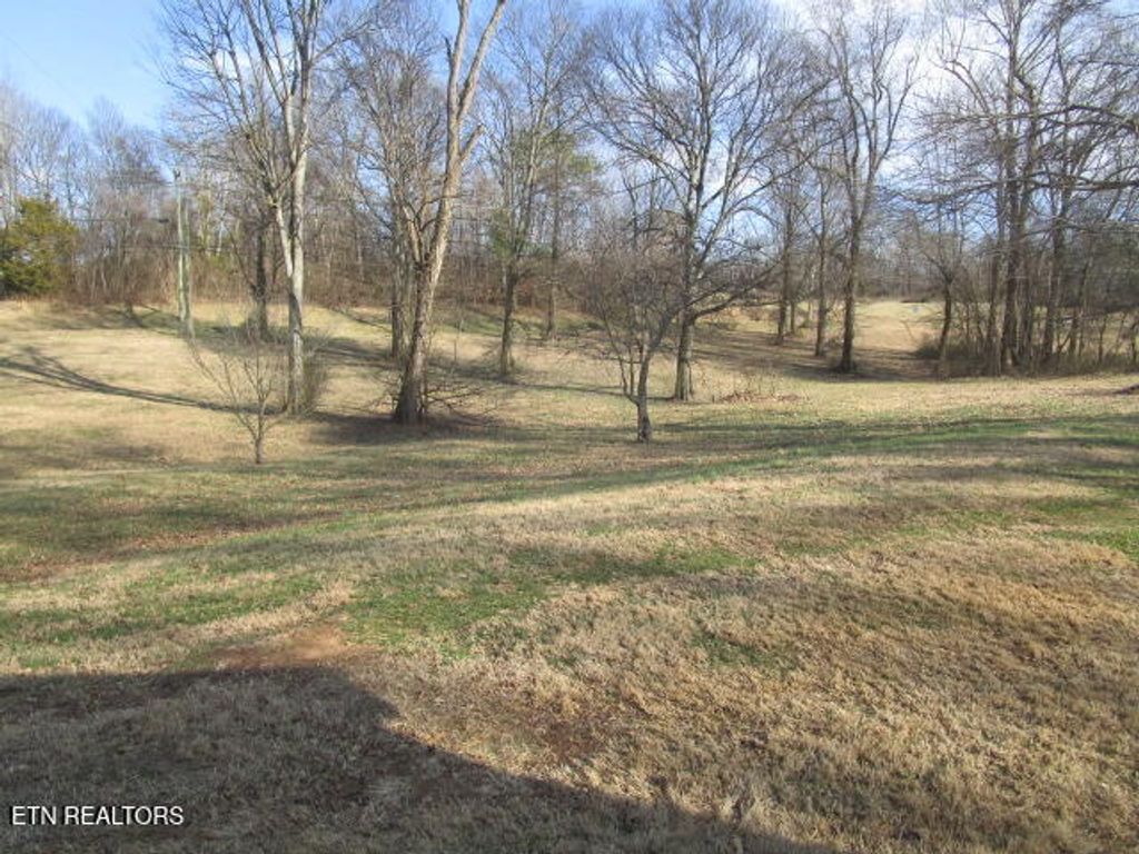 Photo of 139 Buffalo Springs Rd, Rutledge, TN 37861 (MLS # 1325706)