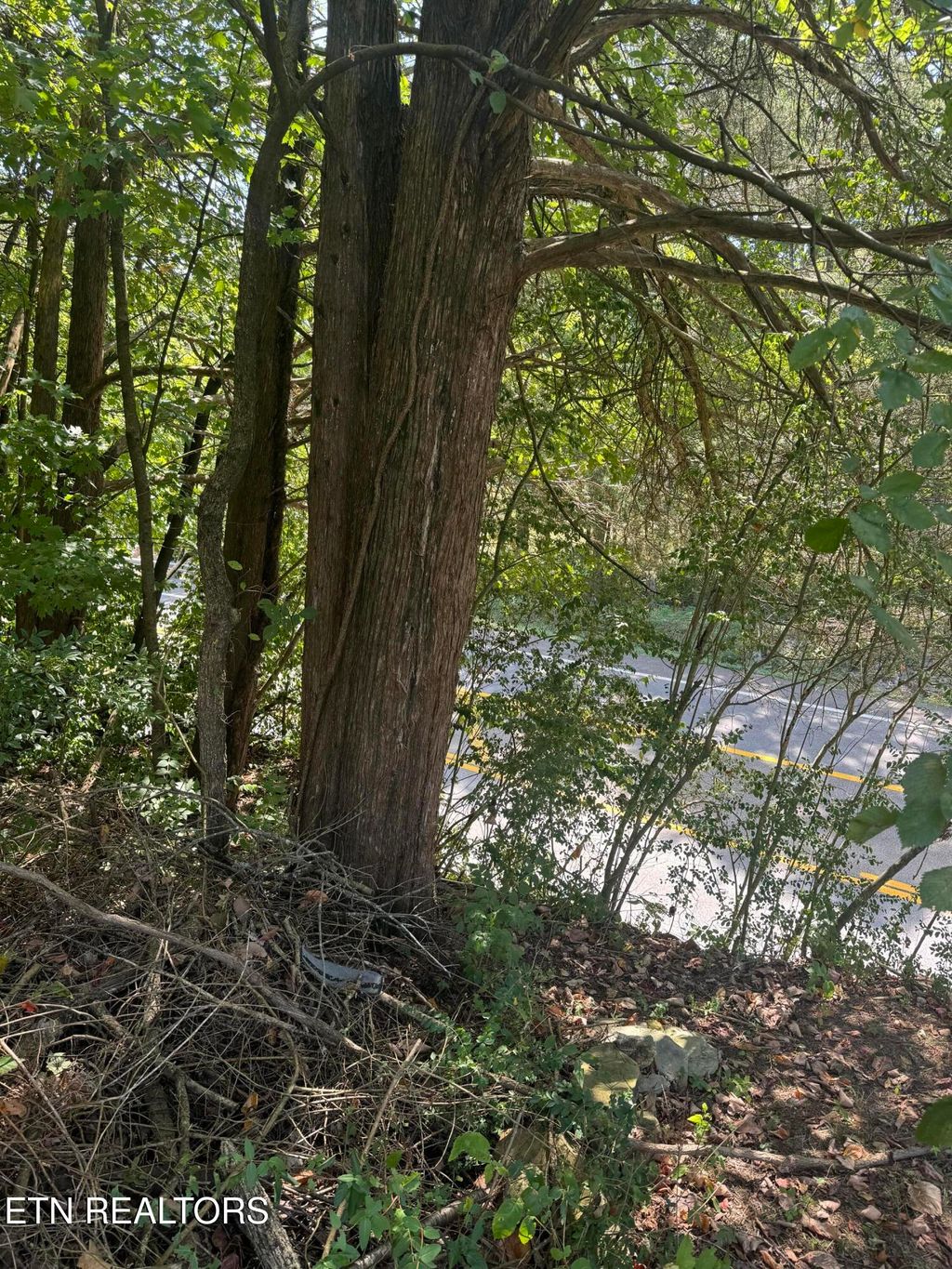 Photo of Highway 92, Dandridge, TN 37725 (MLS # 1290523)