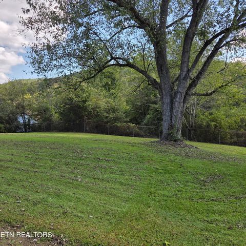 Tiny photo for 112 Dogwood St, Maynardville, TN 37807 (MLS # 1316967)