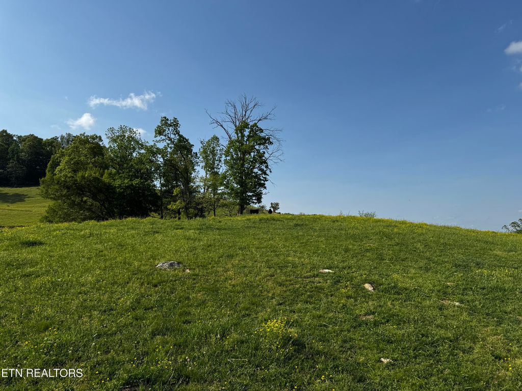 Photo of Baltimore Rd, Washburn, TN 37888 (MLS # 1299663)